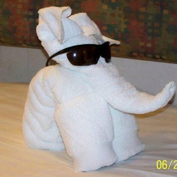 Meet your Posher, Delbert - Picture 1 of 1